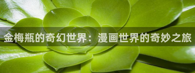 耽漫网官网入口